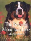 Click link to order Bernese Mountain Dog: Dog of Destiny