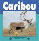 Caribou-NatureWatch.jpg (6826 bytes)