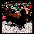 Click link to order Dachshund, Dog for Town and Country