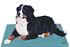 DogBed.jpg (1114 bytes)