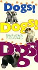 DogsDogsDogs.jpg (6458 bytes)