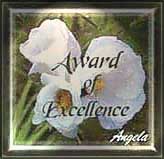 Excell-Award.jpg (12907 bytes)
