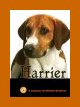 Click link to order Harrier: A Complete Handbook