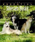 Click link to order The Essential Siberian Husky