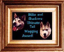 Thanks, Billie and Shadow, for honoring WorkingDogWeb.com!