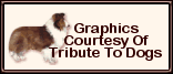 TributeToDogsGraphics.gif (3400 bytes)