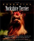 Click link to order The Essential Yorkshire Terrier