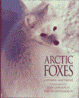fox-arctic.gif (7628 bytes)