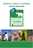 Siberian-Husky-Animal-Planet-DVD.jpg (5560 bytes)