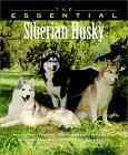 Click link to order The Essential Siberian Husky
